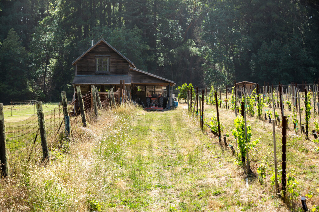 Exterior view of the Sandar & Hem tasting room in vineyard in the Santa Cruz Mountains of California