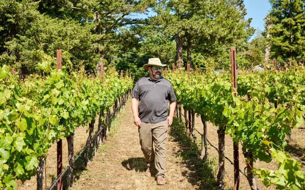 Robert Bergstrom strolling through the Sandar & Hem vineyards